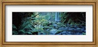 Framed Waterfall in a forest, Hopetown Falls, Great Ocean Road, Otway Ranges National Park, Victoria, Australia
