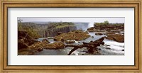 Framed Log on the rocks at the top of the Victoria Falls with Victoria Falls Bridge in the background, Zimbabwe