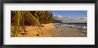 Framed Palm trees on the edge of a small beach, Seychelles