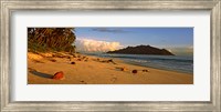 Framed Coconuts on a palm lined beach on North Island with Silhouette Island in the background, Seychelles