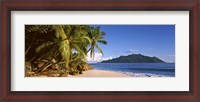 Framed Palm trees grow out over a small beach with Silhouette Island in the background, Seychelles
