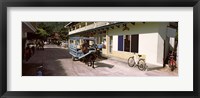 Framed Ox-drawn cart in a street, La Digue Island, Seychelles