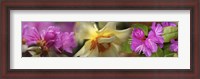 Framed Details of pink and yellow flowers