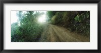 Framed Dirt road through a forest, Chiang Mai Province, Thailand