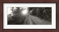 Framed Dirt road through a forest, Chiang Mai Province, Thailand (black and white)