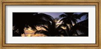 Framed Silhouette of palm trees at sunset, Aitutaki, Cook Islands