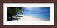 Framed Palm trees on the beach, Tapuaetai, Aitutaki, Cook Islands