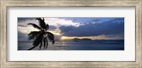 Framed Silhouette of coconut palm tree at sunset, from Anse Severe Beach, La Digue Island, Seychelles