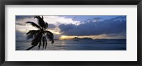 Framed Silhouette of coconut palm tree at sunset, from Anse Severe Beach, La Digue Island, Seychelles