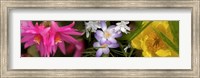 Framed Flowers in pastel colors