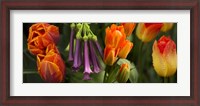 Framed Close-up of orange and purple flowers