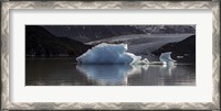 Framed Iceberg in a lake, Gray Glacier, Torres del Paine National Park, Magallanes Region, Patagonia, Chile, Lake