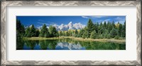 Framed Reflection of trees in water with mountains, Schwabachers Landing, Grand Teton, Grand Teton National Park, Wyoming, USA