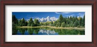 Framed Reflection of trees in water with mountains, Schwabachers Landing, Grand Teton, Grand Teton National Park, Wyoming, USA