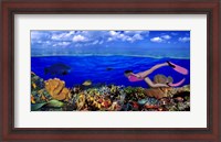 Framed Diver along reef with parrotfish, Green Moray Eel and White Spotted Filefish (Cantherhines macrocerus) underwater