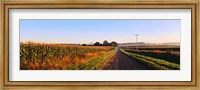 Framed Road Along Rural Cornfield, Illinois, USA