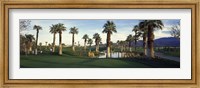 Framed Palm trees in a golf course, Desert Springs Golf Course, Palm Springs, Riverside County, California, USA