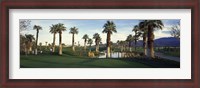 Framed Palm trees in a golf course, Desert Springs Golf Course, Palm Springs, Riverside County, California, USA