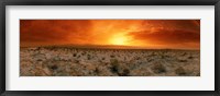 Framed Sunset over a desert, Palm Springs, California, USA