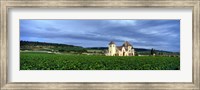 Framed Grand Cru Vineyard, Burgundy, France