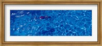Framed Woman in swimming pool