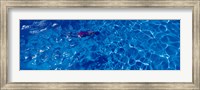 Framed Woman in swimming pool