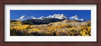 Framed USA, Colorado, Rocky Mountains, aspens, autumn