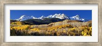 Framed USA, Colorado, Rocky Mountains, aspens, autumn