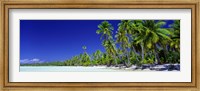 Framed Beach With Palm Trees, Bora Bora, Tahiti