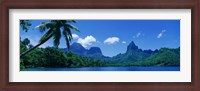 Framed Lush Foliage And Rock Formations, Moorea Island, Tahiti