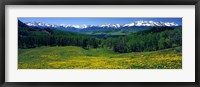 Framed San Miguel Mountains In Spring, Colorado, USA