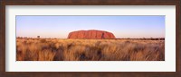 Framed Ayers Rock, Uluru-Kata Tjuta National Park, Australia