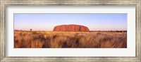 Framed Ayers Rock, Uluru-Kata Tjuta National Park, Australia