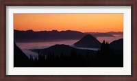 Framed Mount Rainier National Park, Washington