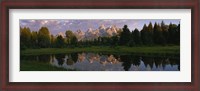 Framed Grand Teton Park, Wyoming