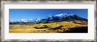 Framed USA, Colorado, Ridgeway, Last Dollar Ranch, autumn