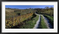 Framed Italy, Piemont, road