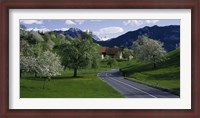Framed Switzerland, Luzern, trees, road