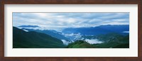Framed China, Sichuan, Cloud Forest