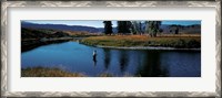 Framed Trout fisherman Slough Creek Yellowstone National Park WY