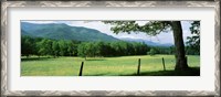 Framed Meadow Surrounded By Barbed Wire Fence, Cades Cove, Great Smoky Mountains National Park, Tennessee, USA