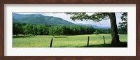 Framed Meadow Surrounded By Barbed Wire Fence, Cades Cove, Great Smoky Mountains National Park, Tennessee, USA