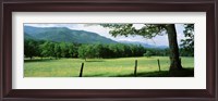 Framed Meadow Surrounded By Barbed Wire Fence, Cades Cove, Great Smoky Mountains National Park, Tennessee, USA