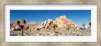 Framed Rock Formation In A Arid Landscape, Joshua Tree National Monument, California, USA