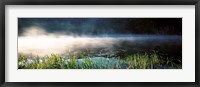 Framed Morning fog Acadia National Park ME USA