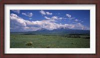 Framed Meadow with mountains in the background, Cuchara River Valley, Huerfano County, Colorado, USA