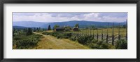 Framed Farmhouses in a field, Gudbrandsdalen, Oppland, Norway