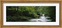 Framed River flowing in the forest, Aberfeldy, Perthshire, Scotland