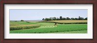 Framed Harvesting, Farm, Frederick County, Maryland, USA