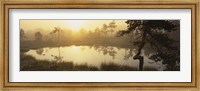 Framed Reflection of trees in a lake, Vastmanland, Sweden